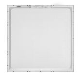 Ledpol backli CCT_1.png