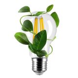 ORO33154 ORO PGL E27 FL 8W pac un_1_plant.jpg