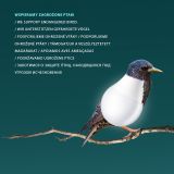 wspieramy zagrozone ptaki.jpg