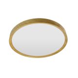 fot_ORO-OLMO web led-pol (1).png